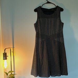 THE LIMITED Women's Navy Blue Polka Dot Swing Dress